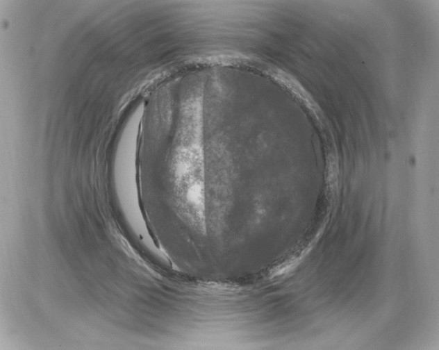 X0000085820585200704132014