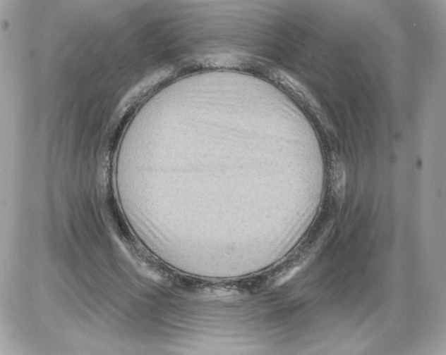 X0000085820586200704132014