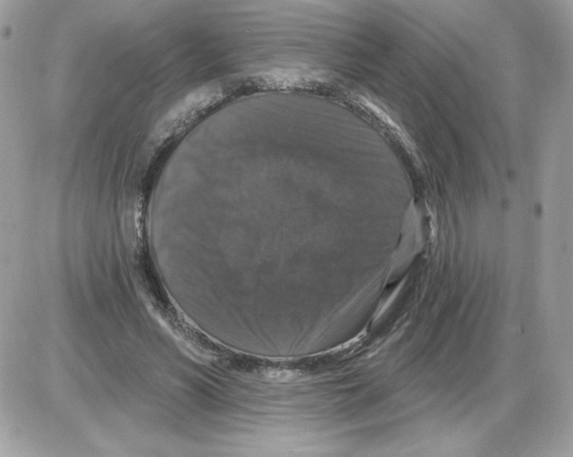 X0000085820590200704132014
