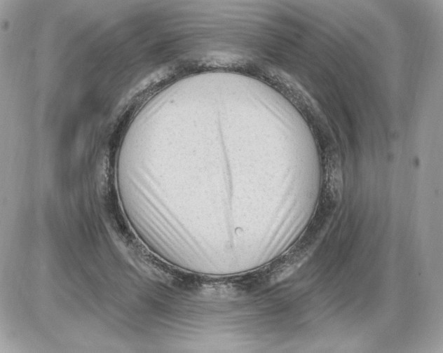 X0000085820591200704132014