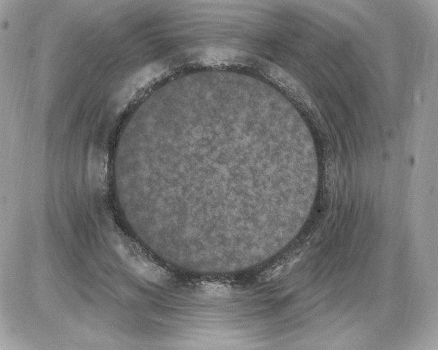 X0000085820592200704132014