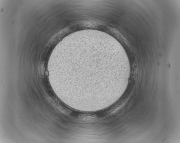 X0000085820597200704132014