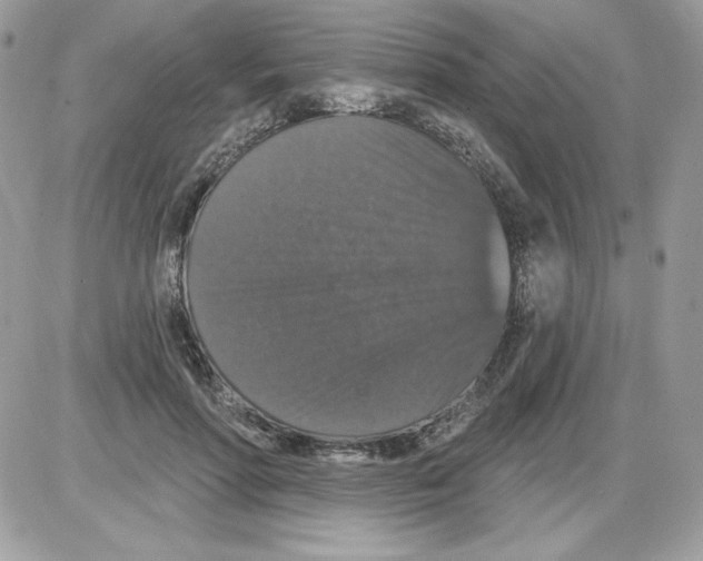 X0000085820598200704132014