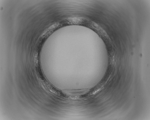 X0000085820599200704132014
