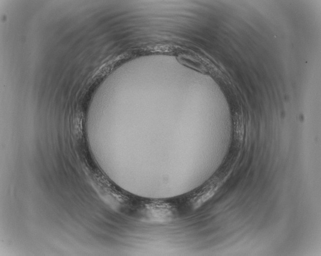 X0000085820603200704132014