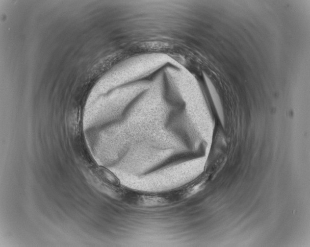 X0000085820605200704132014