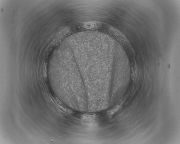 X0000085820606200704132014