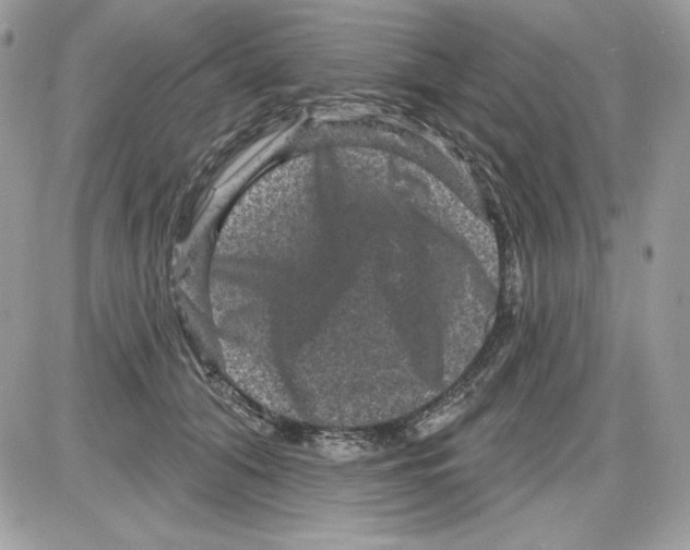 X0000085820608200704132014