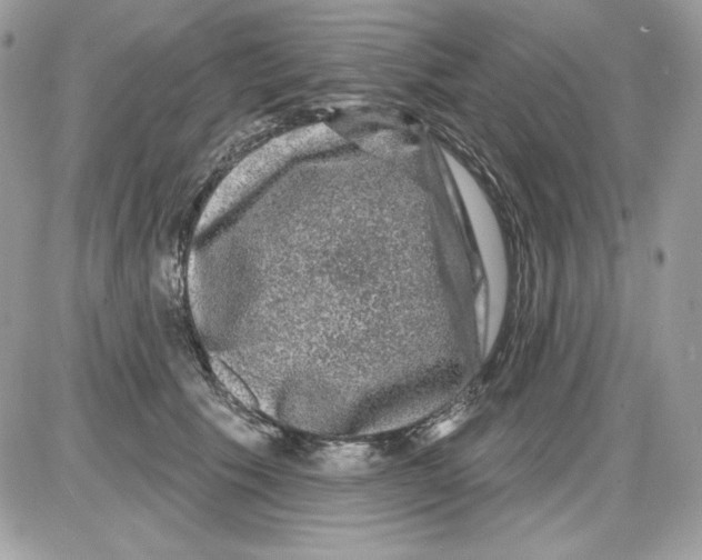 X0000085820609200704132014