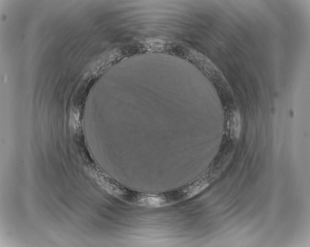 X0000085820610200704132014