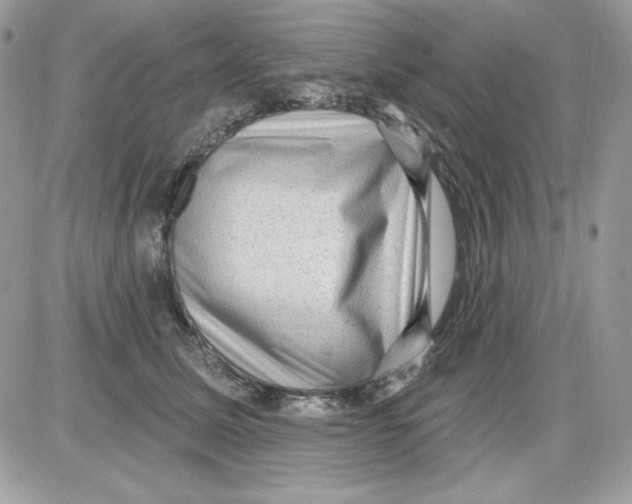 X0000085820611200704132014