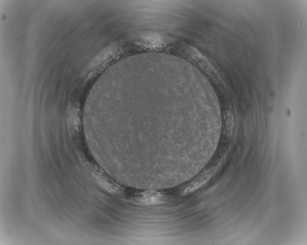 X0000085820612200704132014