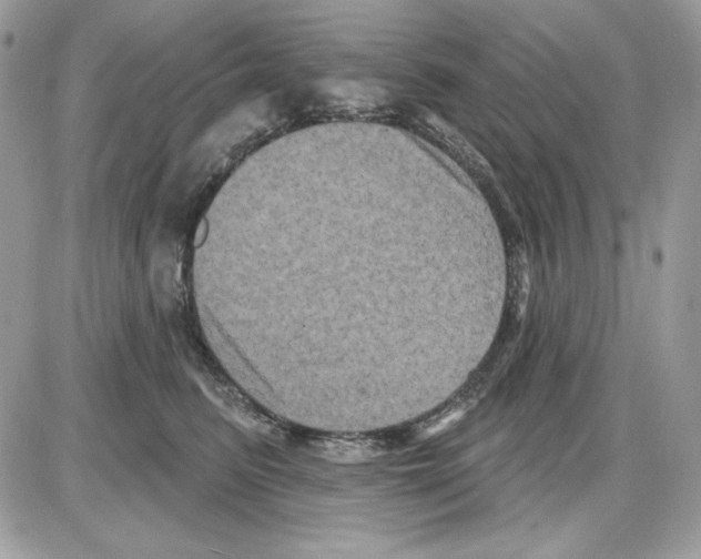 X0000085820615200704132014