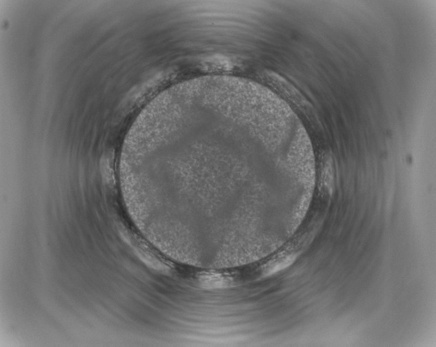 X0000085820616200704132014