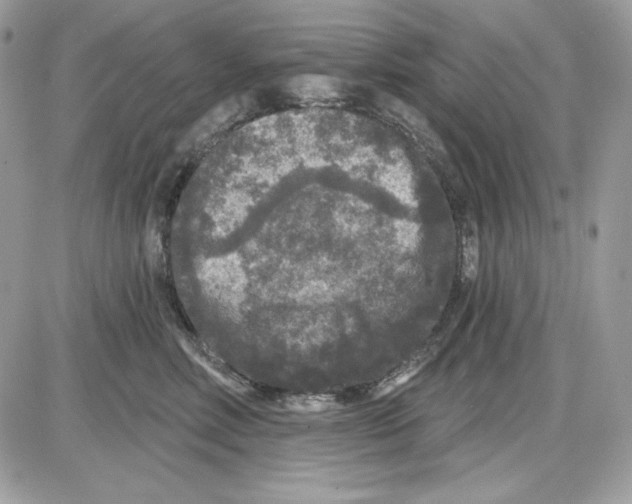 X0000085820618200704132013