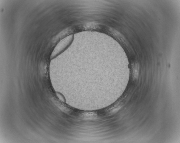 X0000085820619200704132013