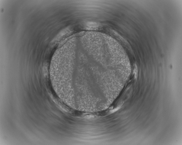 X0000085820620200704132013