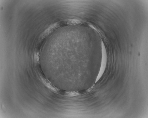 X0000085820621200704132013