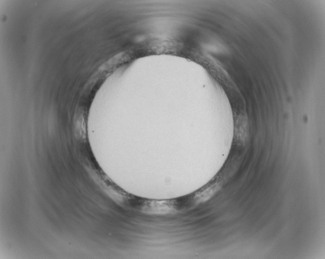 X0000085820622200704132013