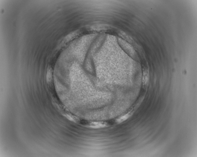 X0000085820623200704132013