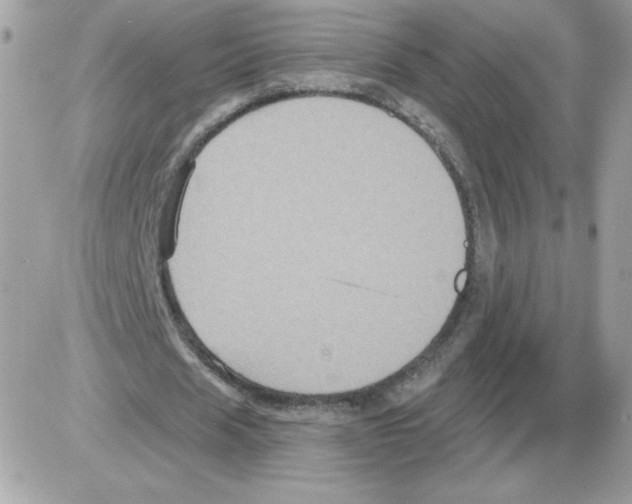 X0000085820625200704132013