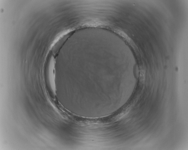 X0000085820626200704132013