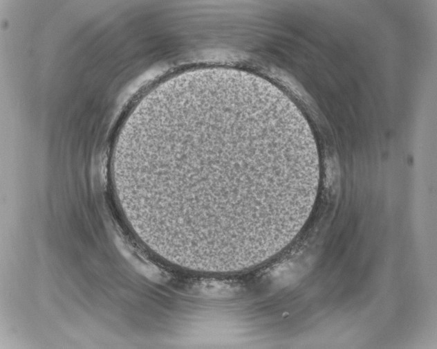 X0000085820632200704132013