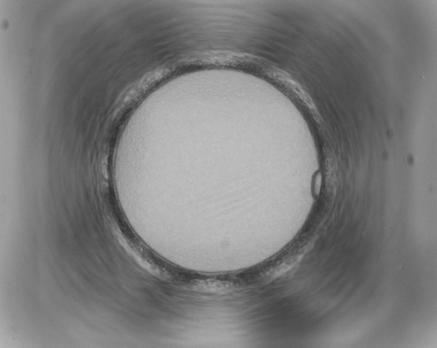X0000085820633200704132013