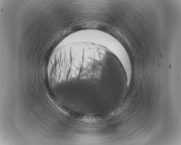 X0000085820641200704132013