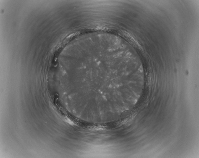 X0000085820643200704132013