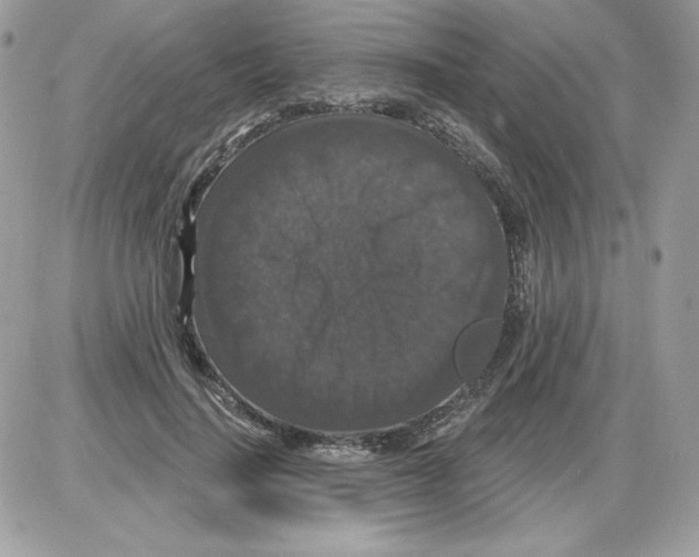 X0000085820644200704132013