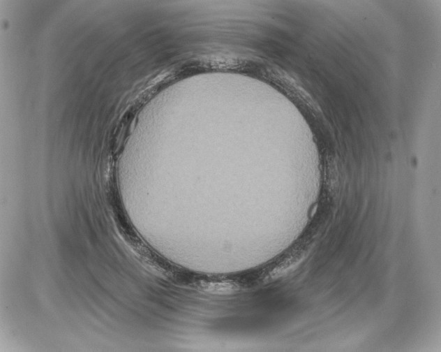 X0000085820645200704132013