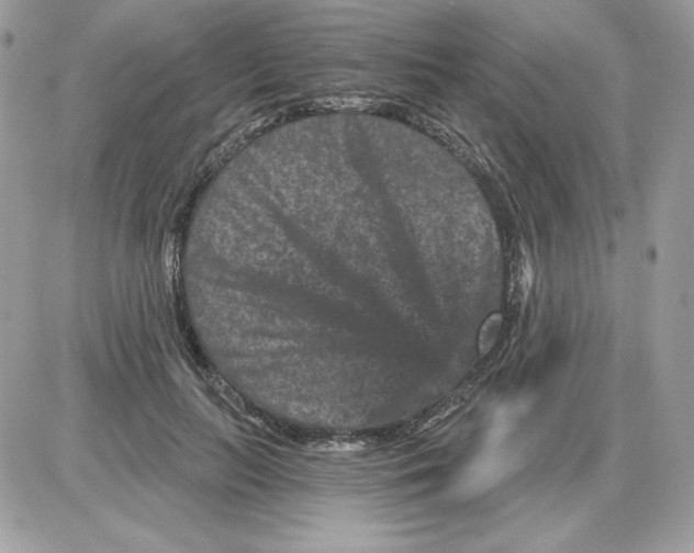 X0000085820647200704132013