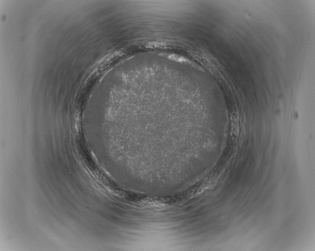 X0000085820648200704132013