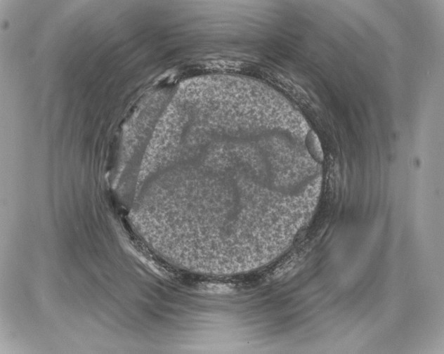 X0000085820649200704132013
