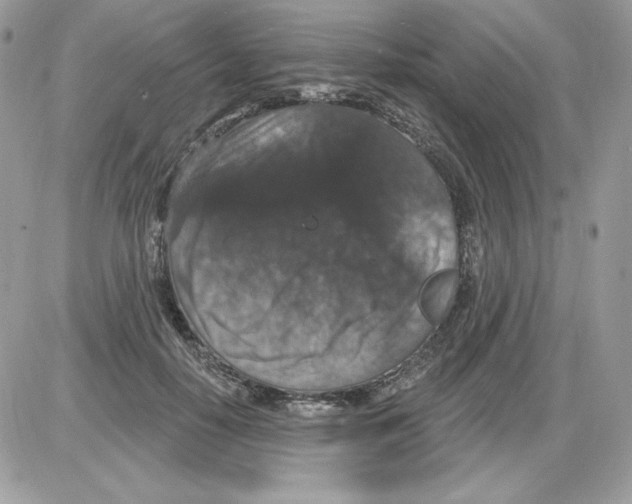 X0000085820650200704132013