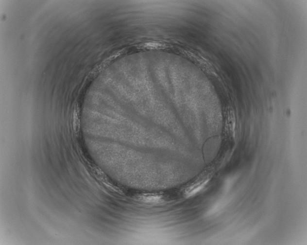 X0000085820651200704132013