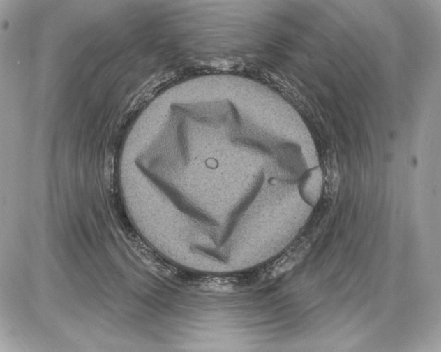 X0000085820656200704132013