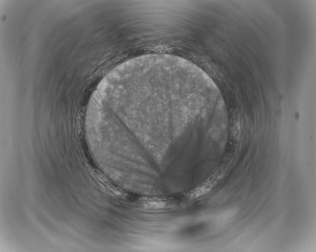 X0000085820658200704132013