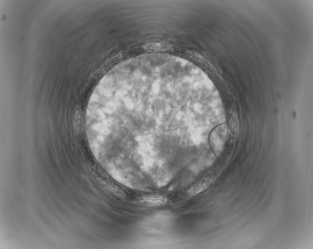 X0000085820659200704132013