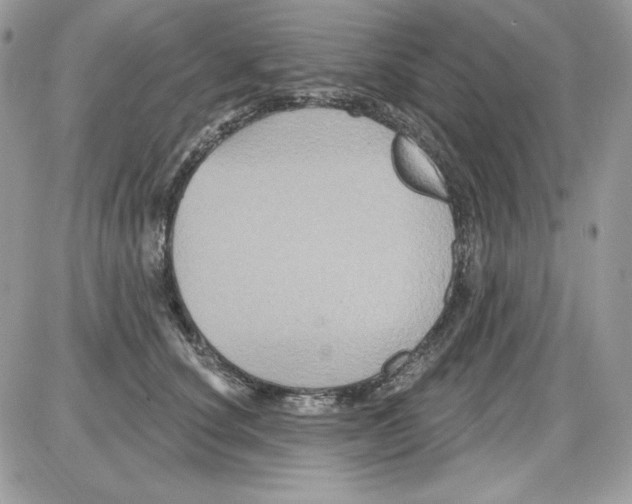 X0000085820660200704132013