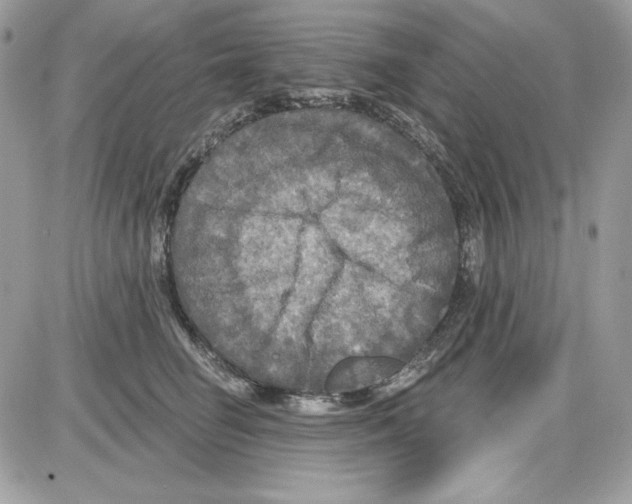 X0000085820662200704132013