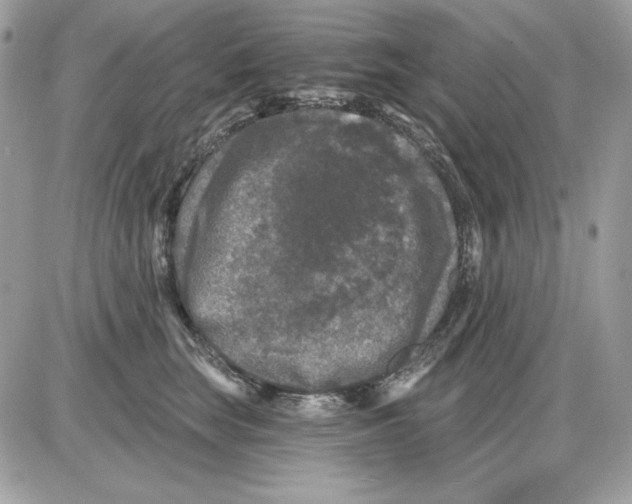 X0000085820663200704132013
