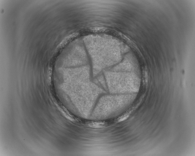 X0000085820664200704132013