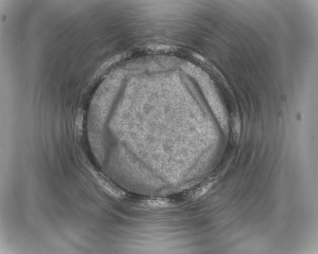 X0000085820668200704132013
