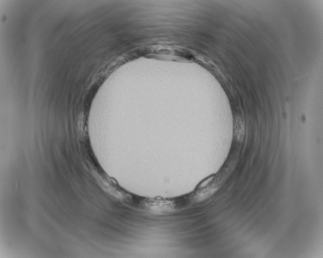 X0000085820670200704132013