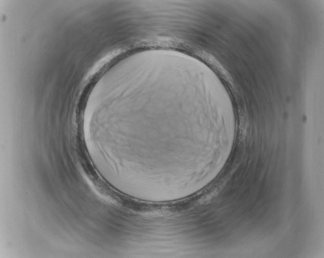 X0000085820674200704132013