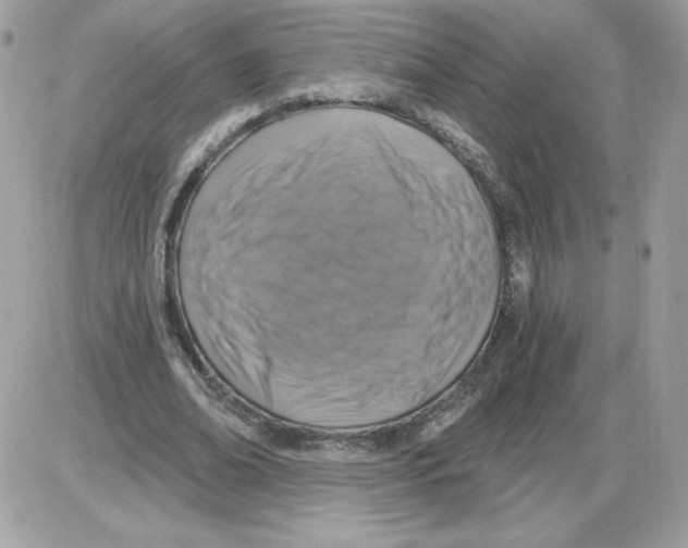 X0000085820678200704132012