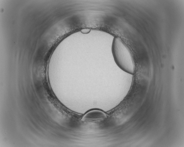 X0000085820683200704132012