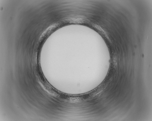 X0000085820686200704132012